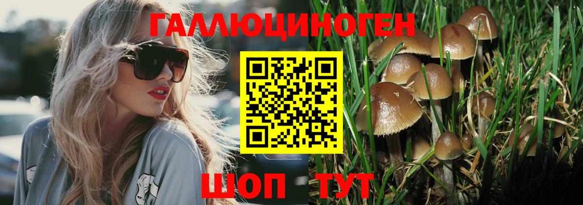 Галлюциногенные грибы GOLDEN TEACHER  Галлюциногенные грибы GOLDEN TEACHER  Вход с VPN  Ленинск-Кузнецкий 